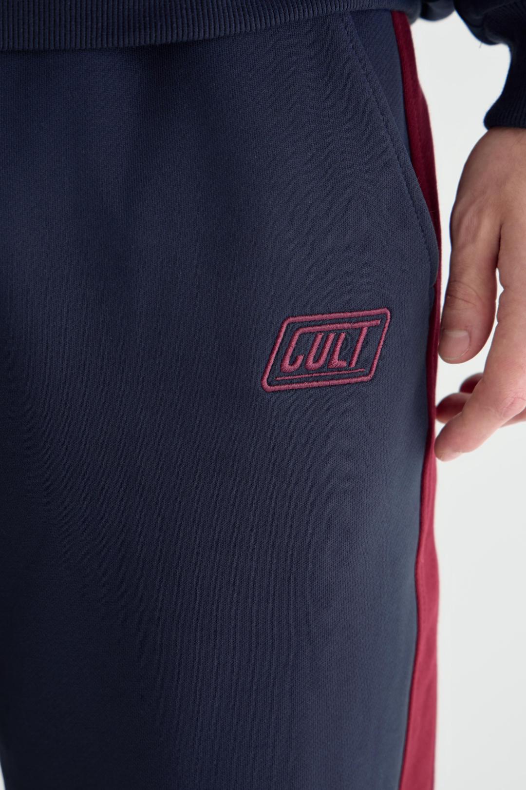 Фотография Джоггеры DRIVE №3