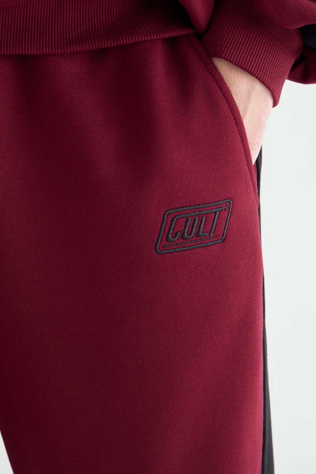 Фотография Джоггеры DRIVE №3